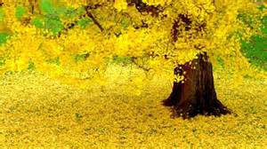 Ancestral Tree Worship and Carl&nbsp;Jung