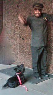 img00188-20110523-1919-2