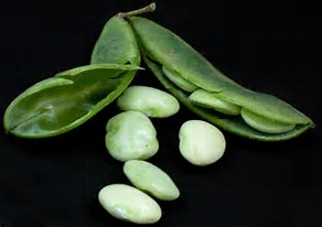 Change Your Life with Lima&nbsp;Beans