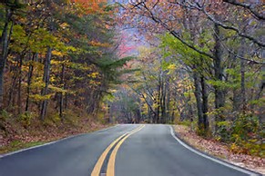 Where ARE You, Mary Riley? by Regan&nbsp;Burke