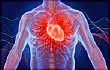 110x70_what_causes_heart_palpitations_slideshow