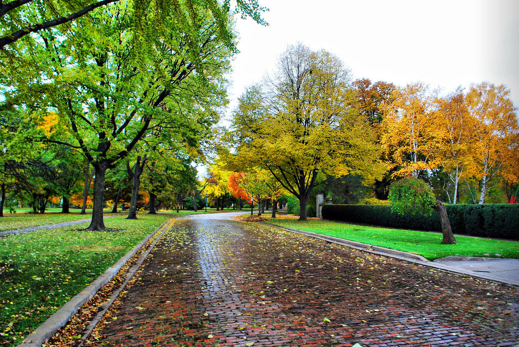 4035095366_c65a5df4af_b