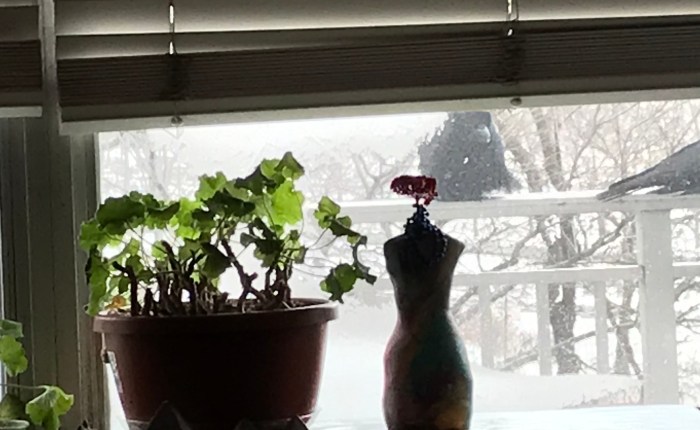 Gifts and Omens from the Polar&nbsp;Vortex