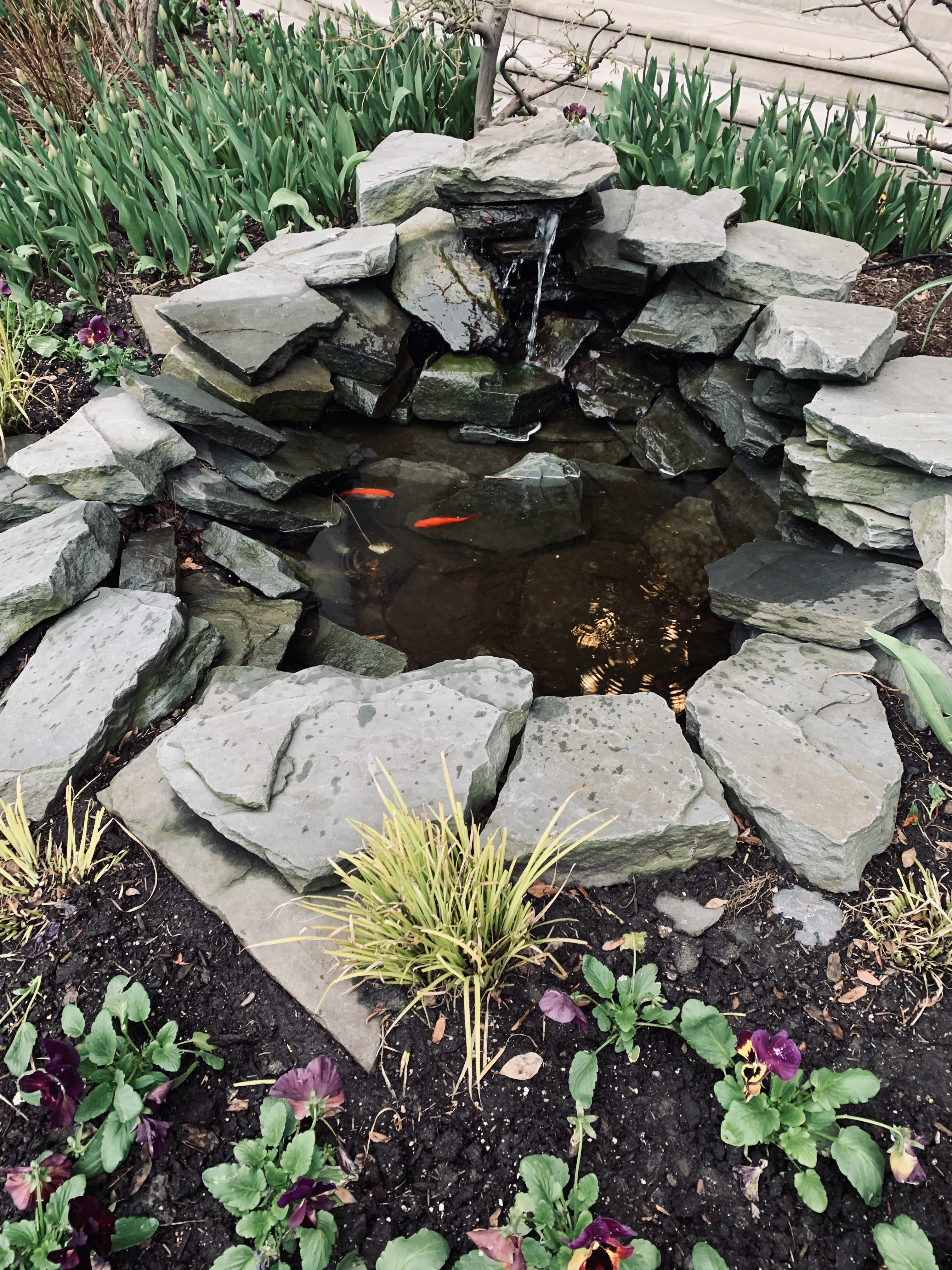 9866AA95-DEAF-4A8A-98C7-2CC99531B87A_1_201_a