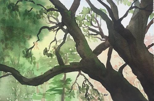 Shutdown Week 10: Memorial&nbsp;Day