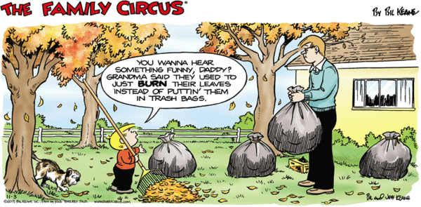 Deciduous Neighborhoods