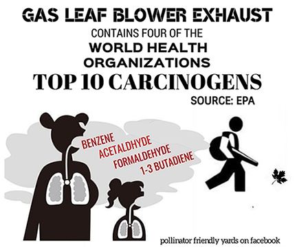 Earth Day: Turn It&nbsp;Down!