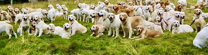 Lessons Learned: God