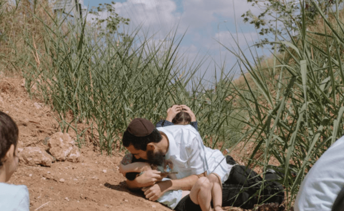 Joys and Sorrows of a&nbsp;Colonoscopy