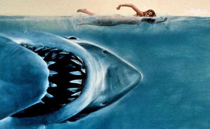 Sharks and Snakes At the&nbsp;Movies