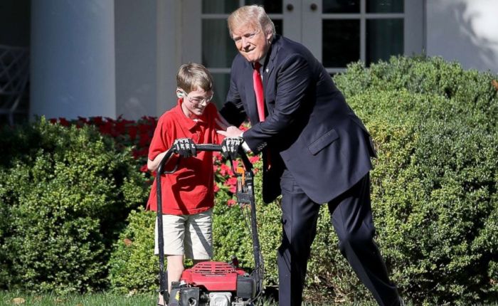 Mow the Grass War Tactic